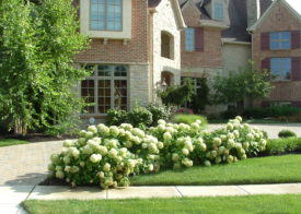 Timberwood Landscape Company - Gallery Photo 28